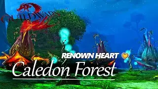 Guild Wars 2 - Caledon Forest: Renown Heart (19/19)
