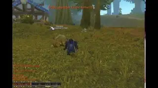 Whats The WOW1