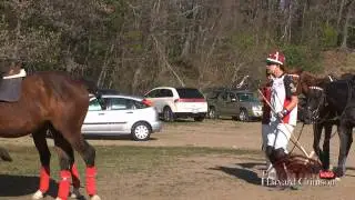 Harvard Polo Renaissance Weekend