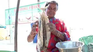 DRY FISH MARKET|HOLESALE DRY FISH MARKET|SEA FOOD| STREED FOOD