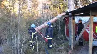 Puunkaato Otalampi