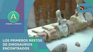 Museo paleontol&oacute;gico de Galve