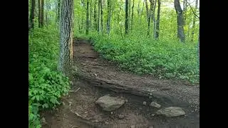 Springer Mountain Approach Trail-Part 1