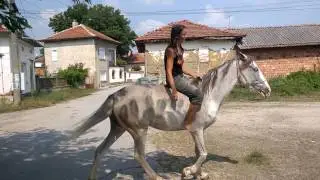 синеока кобила в с.Ъглен \ Първи урок по езда
