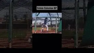 Mariners Prospect Felnin Celesten Looks Great!