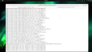 03 Run Okapi With Sample Modules 1