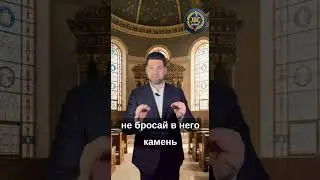 הכרת הטוב עד לפרטים הקטנים: למה משה לא היכה את היאור והעפר? פרשת וארא🎬 צפו ותתחברו לעוצמה שבת שלום🤝