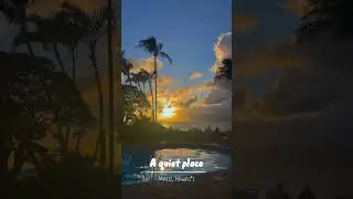 Static Hawai&rsquo;i 🏝️🤙🏻🌺🐚 #hawaii #travel #hawaiivacation #cinematic