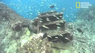 Nat Geo | Aquanautas | Parcel do Manuel Lu&iacute;s - Cemit&eacute;rio Submerso