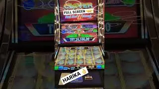 #viral #trending #lasvegas #shorts #follow #video #vlog #subscribe #explore #like #share #kibris