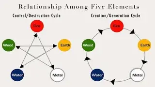 APPLICATION OF  FIVE ELEMENTS THEORY IN TCM