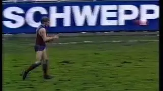 FNWB.com.au - 1985: Round 19,  Fitzroy vs Footscray