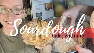 Whole Wheat vs All Purpose Flour Sourdough Bread Bakes! Day 5 of Making Your Own Sourdough Starter