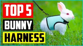 The 5 Best Breathable Bunny Harness of 2021 Review & Buyer&rsquo;s Guide