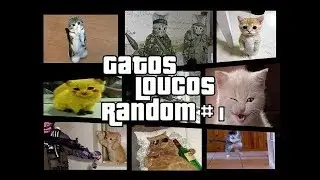 Gatos engra&ccedil;ados e Loucos Random #1   Funny and Crazy Cats