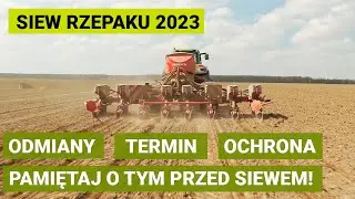 Pamiętaj o tym przed siewem rzepaku! Termin, odmiany, ochrona