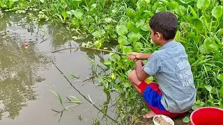 Fishing Video ✅️|| catching fish by rod ~ Traditional hook fishing in the village canal 🥰🥰