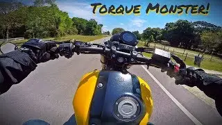 Yamaha XSR900 Test Ride & Wheelies