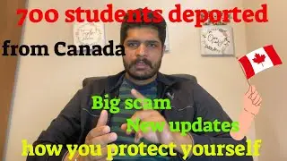 700 students facing deportation from Canada. You can save your future.shockin #india punjab #canada