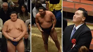 Onosato goes 4-1; Hoshoryu back fighting; Hakuho Cup continues! (Sumo News, Aug 30th)