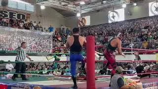 SUSTAITA MAGN&Iacute;FICO ZARZY TIGER ASTERISCO JR🆚MALDICI&Oacute;N JR BLACK CAT JRTUROK JR &Uacute;NICO JR