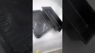 TL-PP-339 The Versatile Use of PP Trays in Food Packaging