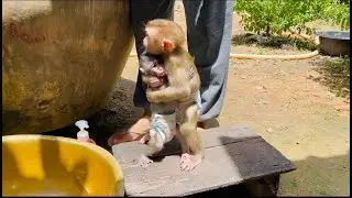 Wow Jasmine love & carefully koi when bath time look like a real  sister