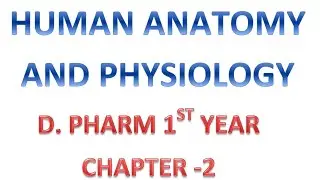 HAP Made Easy 🔥 Complete Chapter Notes | D.Pharm Students ||