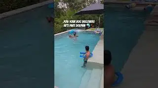 POV: Your dog discovers he&rsquo;s part dolphin 🐬🐾 #FirstSwim #DoggyAdventures #Doggydives