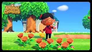 How The Nature Day Event Works in Animal Crossing New Horizons!