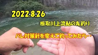 2022.8.26板取川上流　鮎の友釣り　バレ対策針を変えて釣ってみたら・・　＃板取川　＃鮎の友釣り