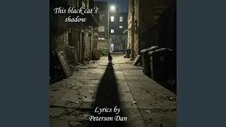 This Black Cat's Shadow