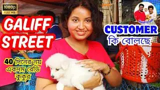 Galiff Street Pet Market Kolkata | dog market in kolkata | Dog Price | Gallif street kolkata | Dogs