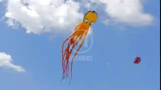 STOCK FOOTAGE - Octopus Shaped Kite From Below