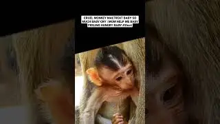 CRUEL MONKEY MALTREAT BABY SO MUCH BABY CRY | MOM HELP ME BABY FEELING HUNGRY BABY #Short