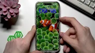 iPhone 17 Pro Max &mdash; не работает мобильный интернет: что делать