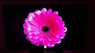 Sony OLED Master Series   48A90K BRAVIA XR, TV 48 pulgadas, Parece que la imagen sobresale de la pan