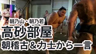 【高砂部屋の稽古】朝乃山、朝乃若、九州場所に向け調整中！