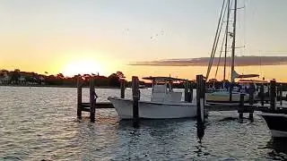 Morning Beauty! 🍁😍 Oxford, MD Fall Sunrise #falltravel