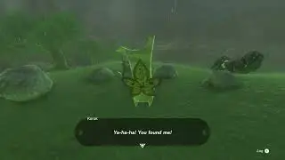 Legend of Zelda Tears of the Kingdom: Korok Rock Puzzle 0928 -0366 0040