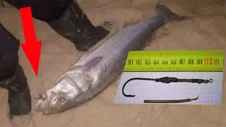 🔥🔥 ISCO GRANDE + ANZOL ADAPTADO =🎣COMO FAZER PESCA DA Treta, SURFCASTING