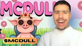 McDull ($MCDULL) &mdash; Meme Coin Overview, Community Vision & Token Structure