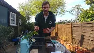 Grow It, Cook It, Share It online - session one, sowing seeds.