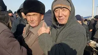 26-ЯНВАРЬ/2025/ШЫМБАЙ МАЛ БАЗАРЫ/БУГИН КЫМБАТПА?/ДЕМ БЕРМЕС МАЛ БАЗАР