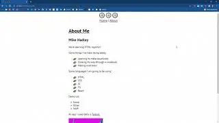 SP21 Web Apps: 3 - JS Primer