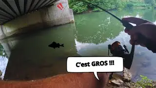 Du GROS poisson sous ce PONT ! ( P&ecirc;che au leurre)