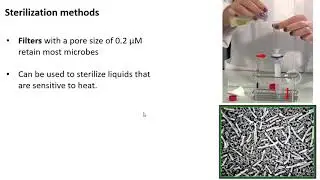 Bacteria Death and Sterilization