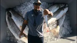 Catching Trout on a windy day.