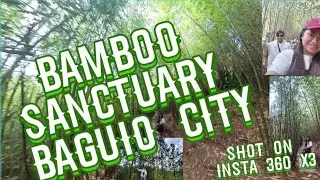BAMBOO SANCTUARY SHOT ON INSTA 360 X3, BAGUIO CITY