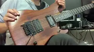 Washburn N-4　Padauk　紹介動画